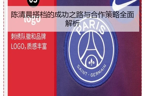 陈清晨搭档的成功之路与合作策略全面解析